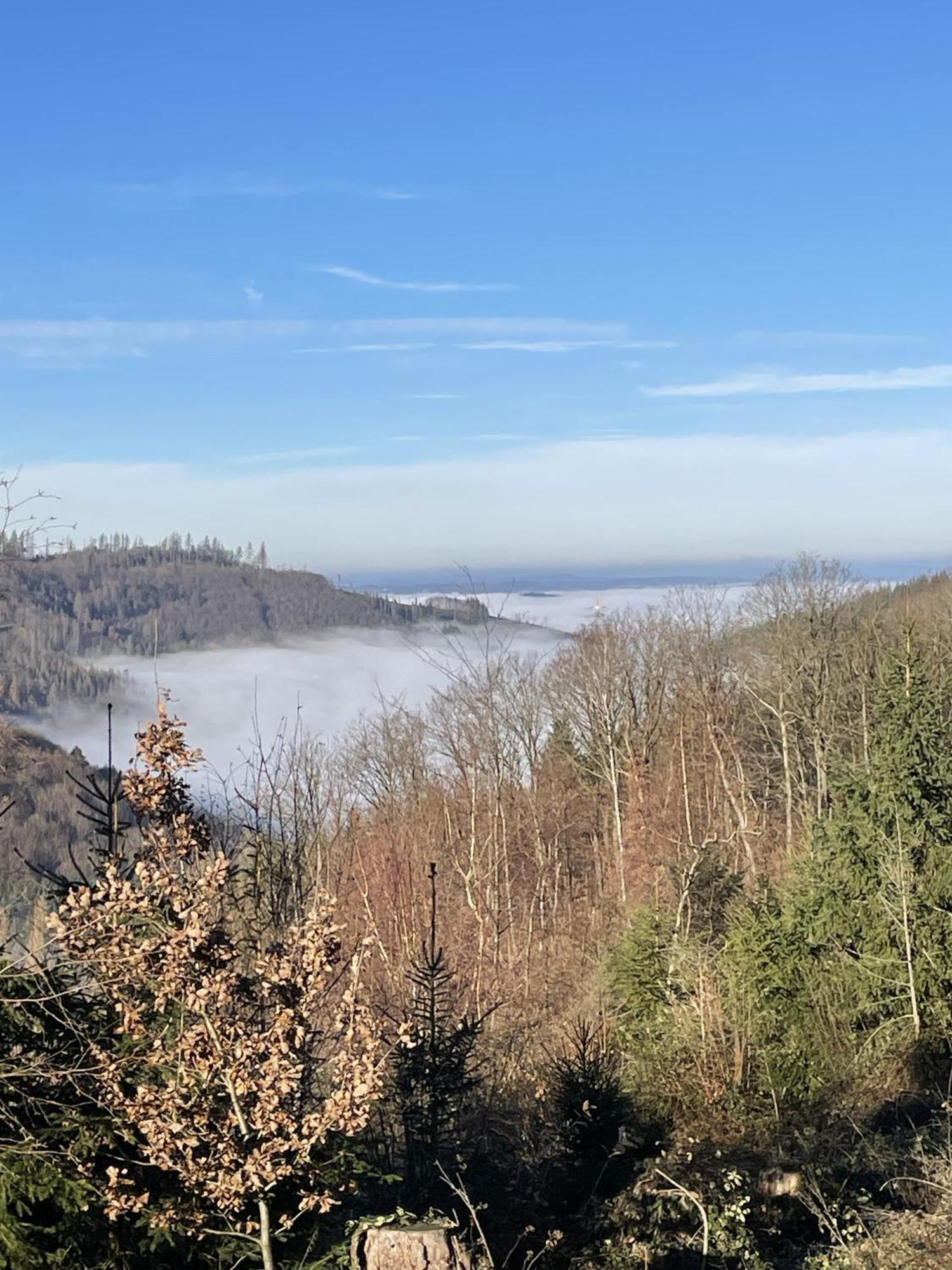 Gittas Paradiesperle Niederdreisbach Екстериор снимка