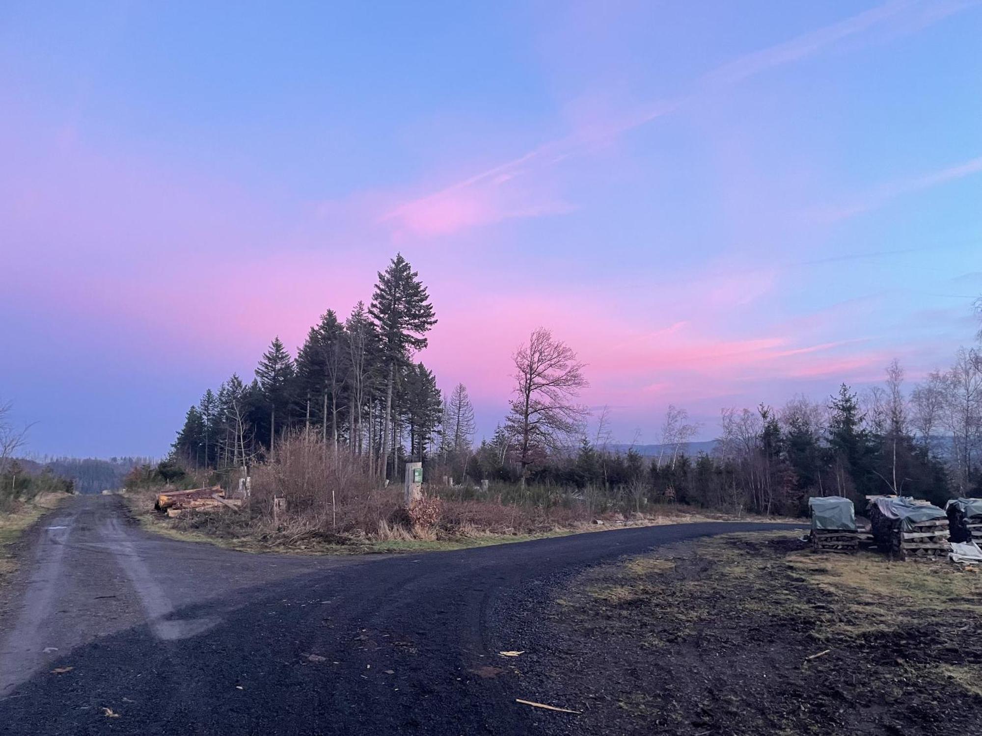 Gittas Paradiesperle Niederdreisbach Екстериор снимка