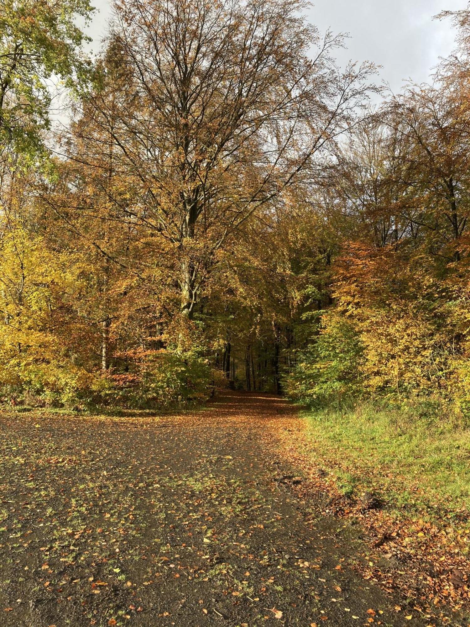 Gittas Paradiesperle Niederdreisbach Екстериор снимка